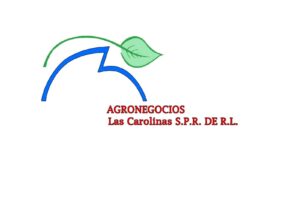 agronegocios