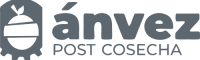 logo-gris